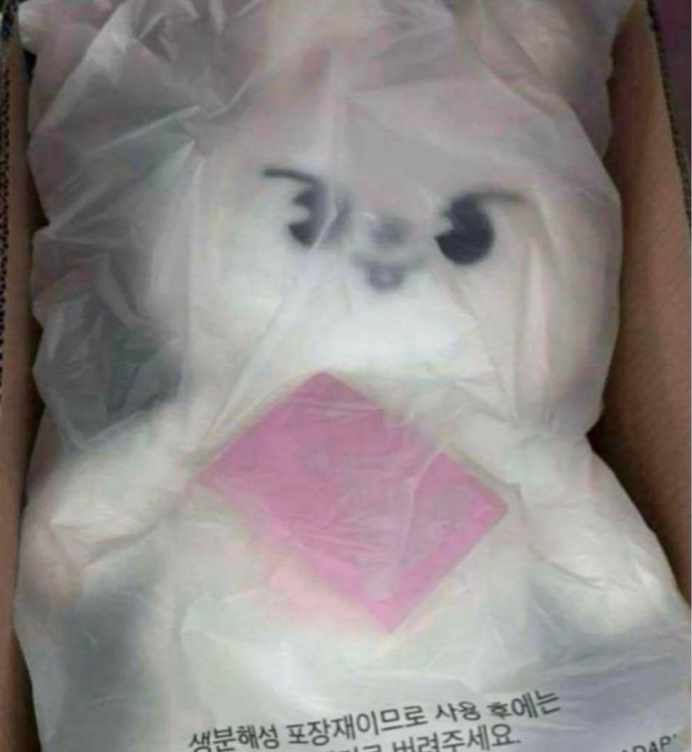 る*き様 leebit テディベアSKZOO PLUSH TEDDYBEAR V Stray Kids SKZOO Leebit Official Plush Teddy Bear Ver w/Passport