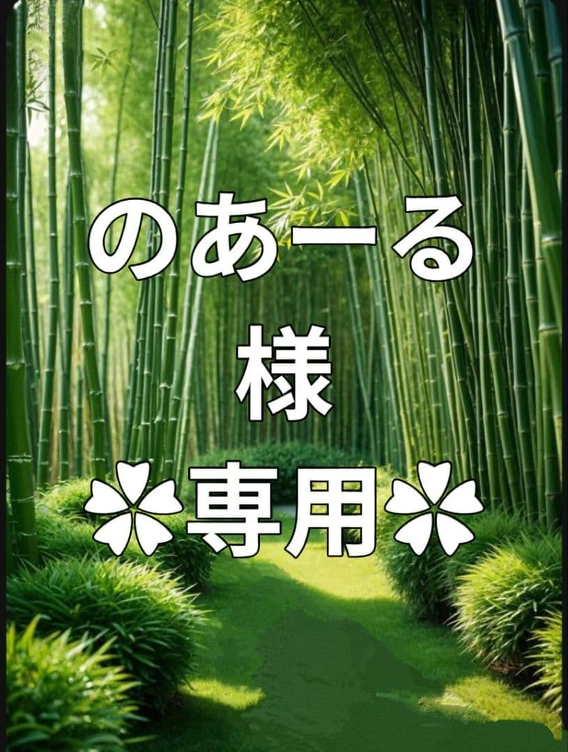 ✿のあーる様·専用✿ハンドメイド　ピルケース