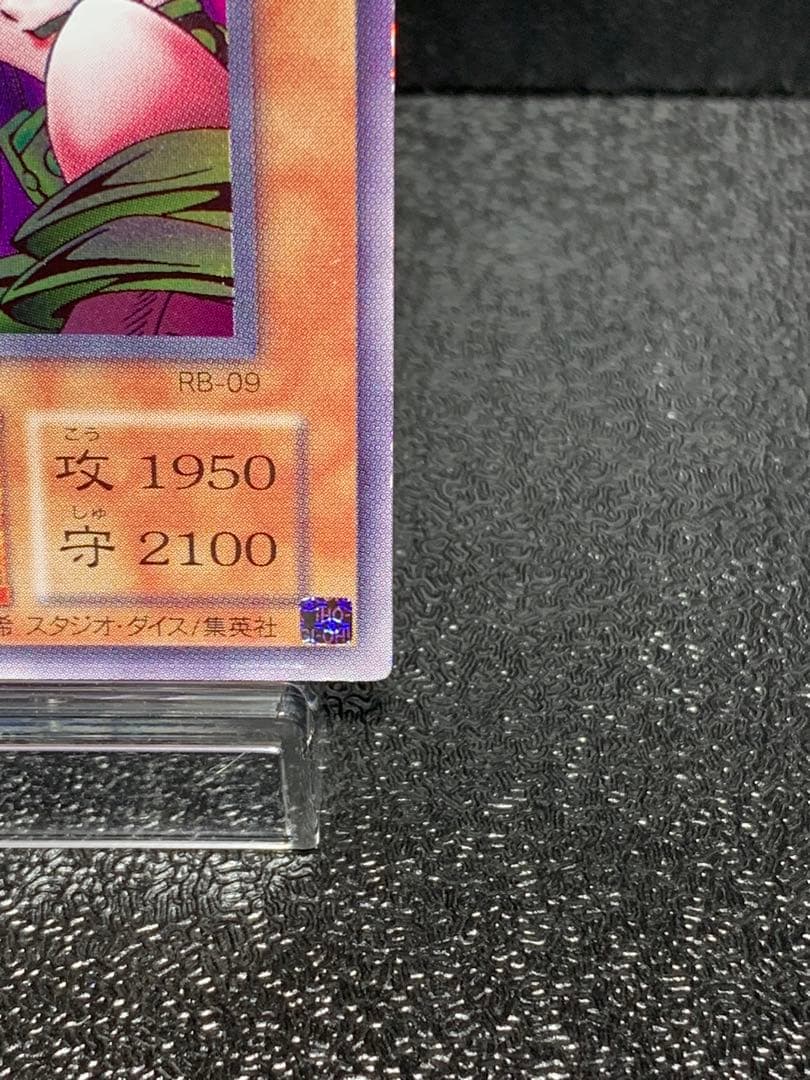 遊戯王 レジェンドデビル エラーカード ネームエラー ハーピィレディ三