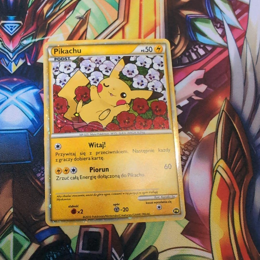 ピカチュウ　ポーランド