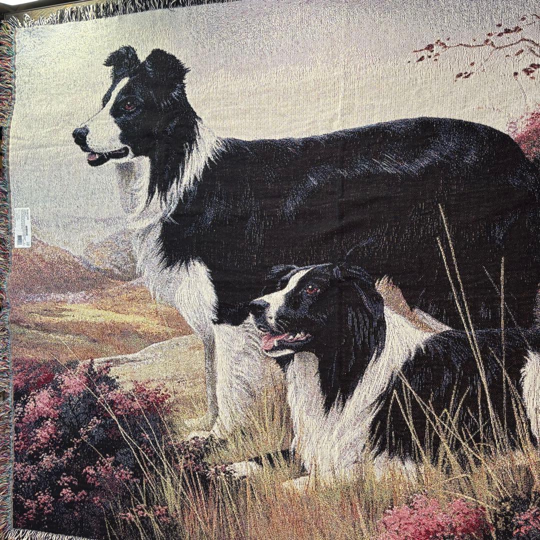 USA製　ヴィンテージ　ボーダーコリー　超大判ラグ　タペストリー　コットン.