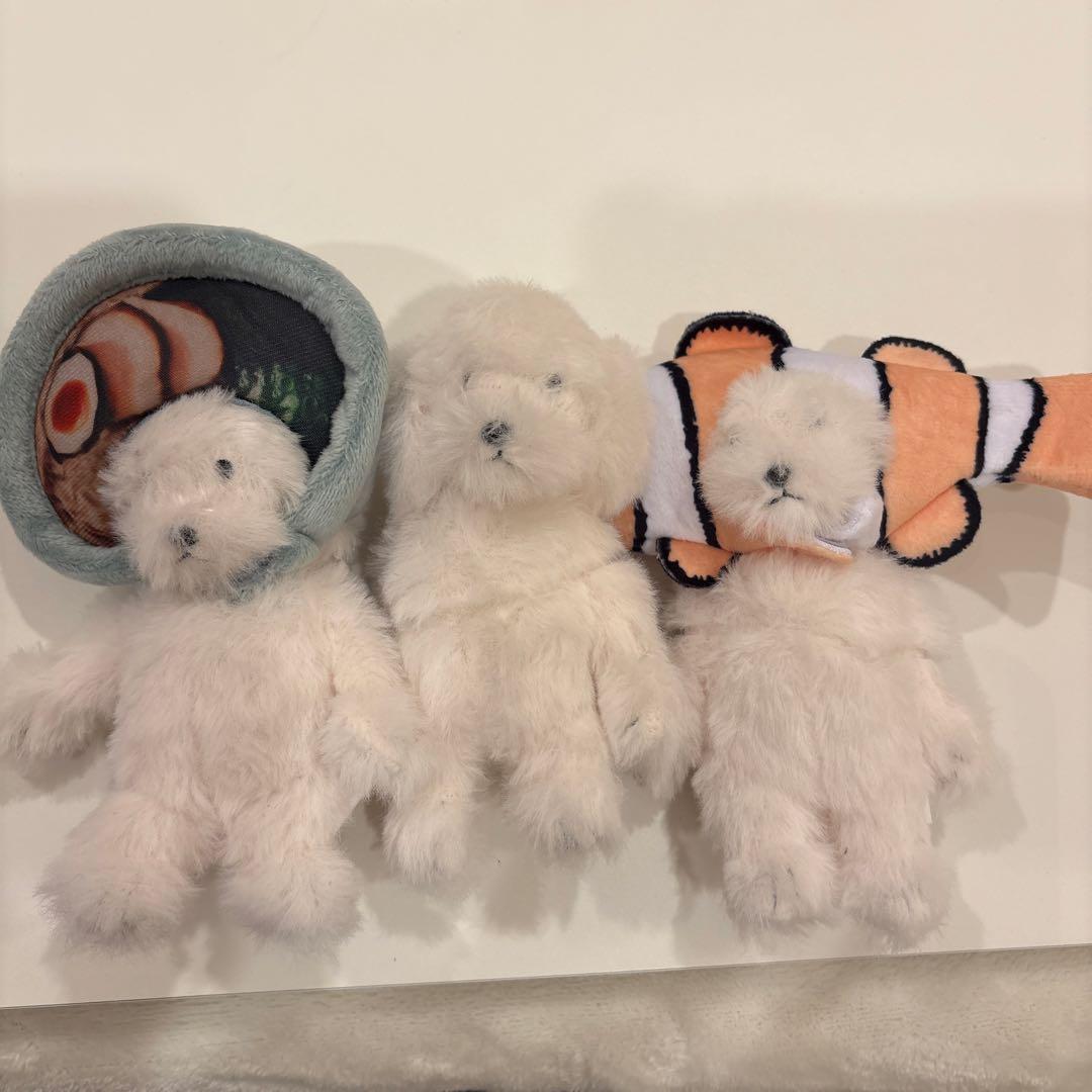 モーリーファンタジー 犬記録 ぬいぐるみマスコット 3種 クマノミ