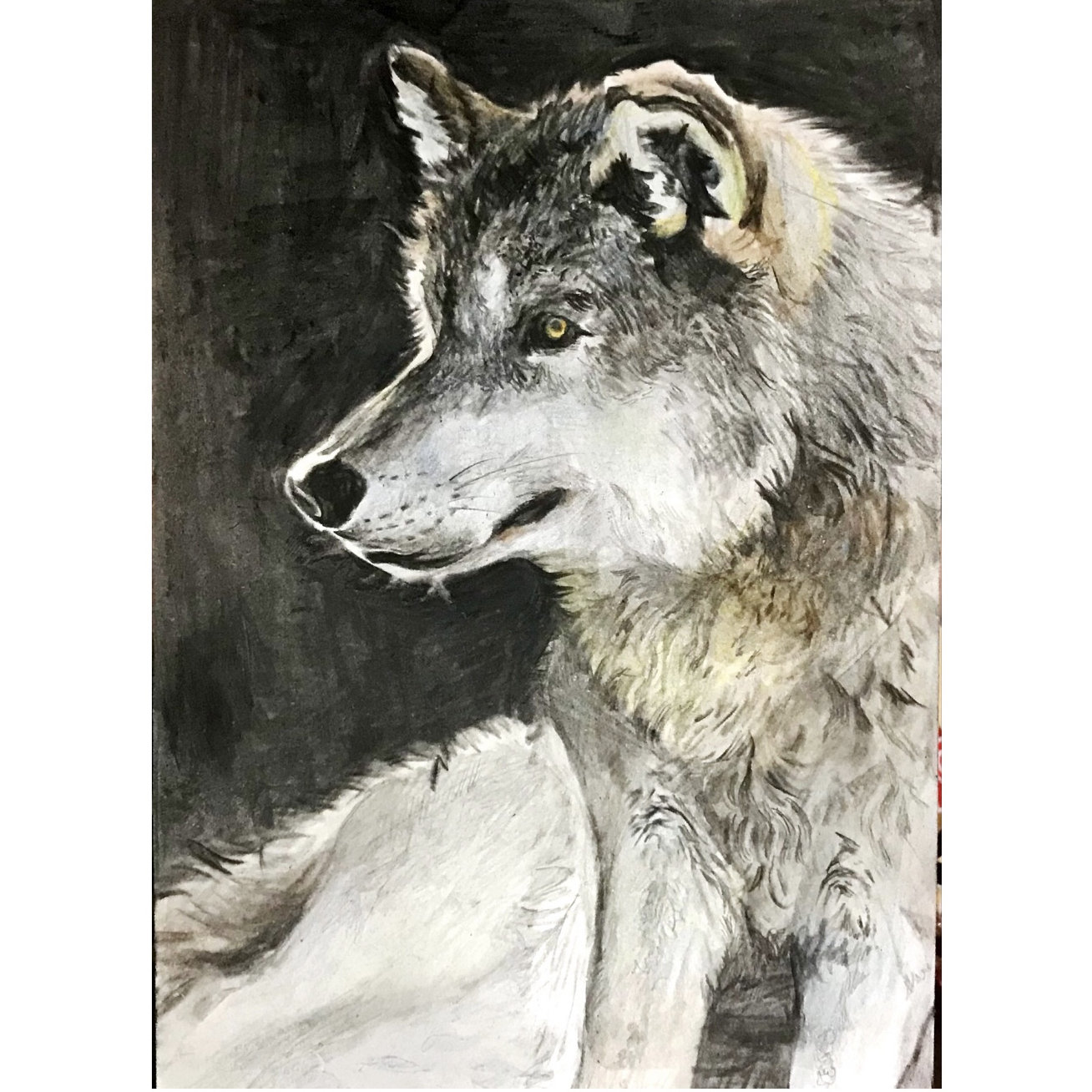 ドローイング オオカミ 動物 原画 絵画 アート 鉛筆画 色鉛筆画 一点物