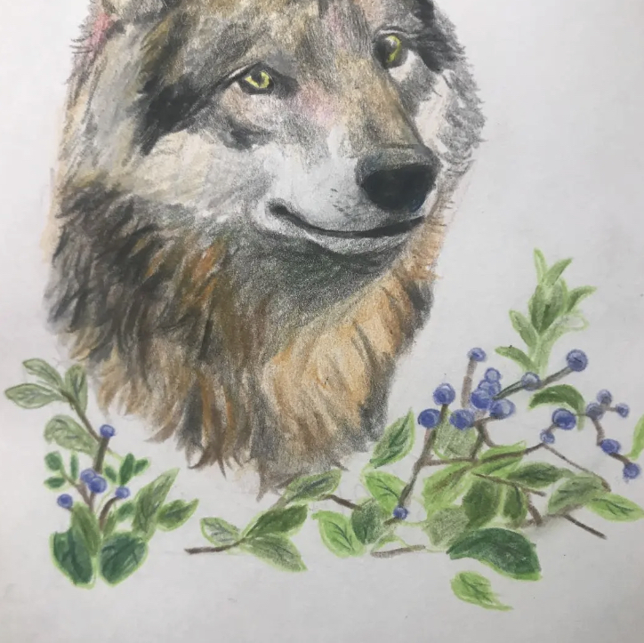 ドローイング オオカミ 狼 犬 イラスト アート パステル画 絵画 一点物