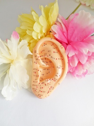 通信講座】2資格／耳つぼダイエットインストラクター&耳つぼ認定講師