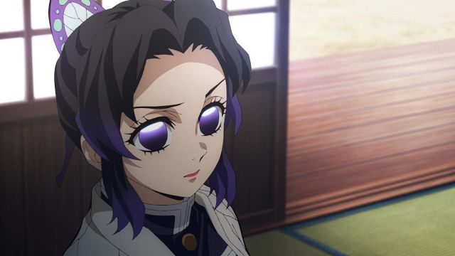 鬼滅の刃』泣いちゃうよ…胡蝶姉妹の凛々しい姿 ufotable公式絵に大反響