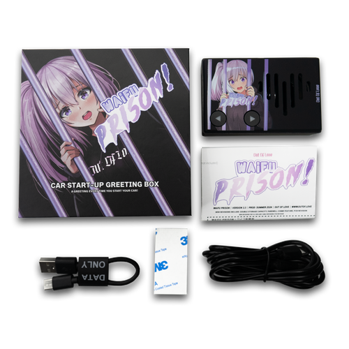 WAIFU PRISON! (MELODY BOX) | out of love