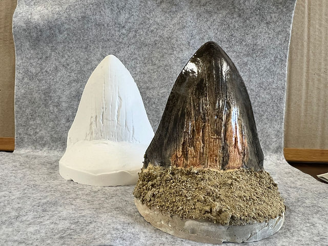 新着情報 | kaseki-taikenkan