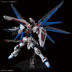 RG ZGMF-X10A Freedom Gundam (Ver. GCP) | Gunpla Wiki | Fandom