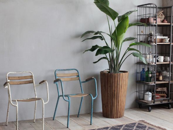 Knot antiques SUN PLANTERφ45 / ノットアンティークス サン