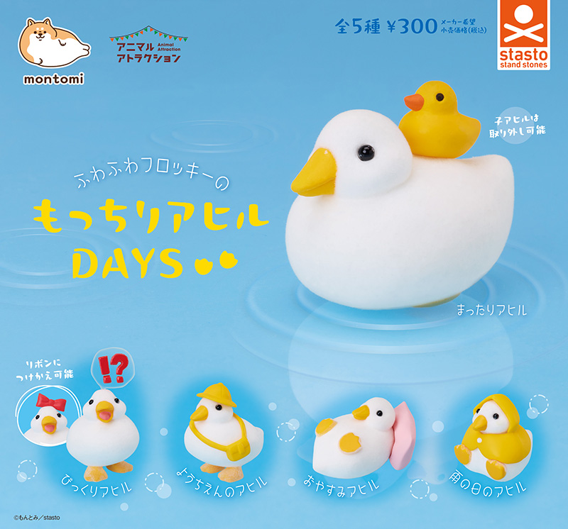standstones もっちりアヒルDAYS