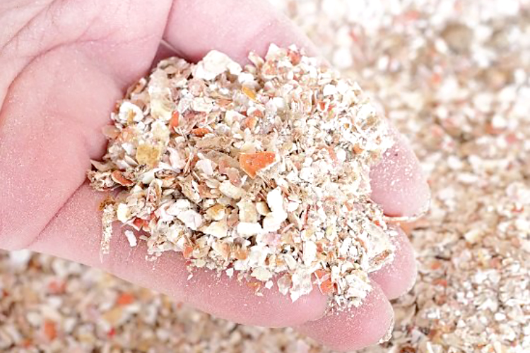 国内製造かに殻100％「かに様」 | サンビオティック