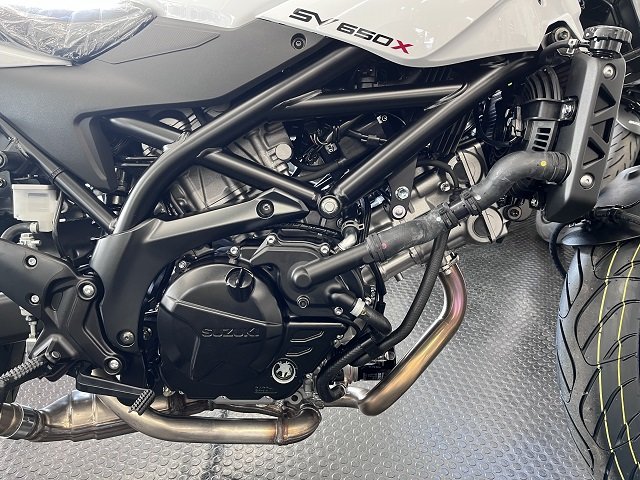 2025年モデル【SV650X ABS】新色ホワイト入荷しました！ | スズキ